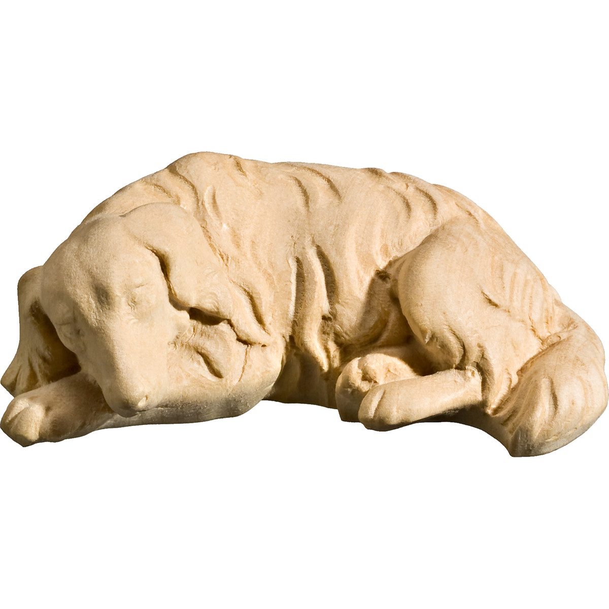 Perro tumbado